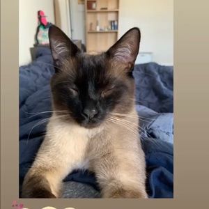 Meet your Posher, Abby